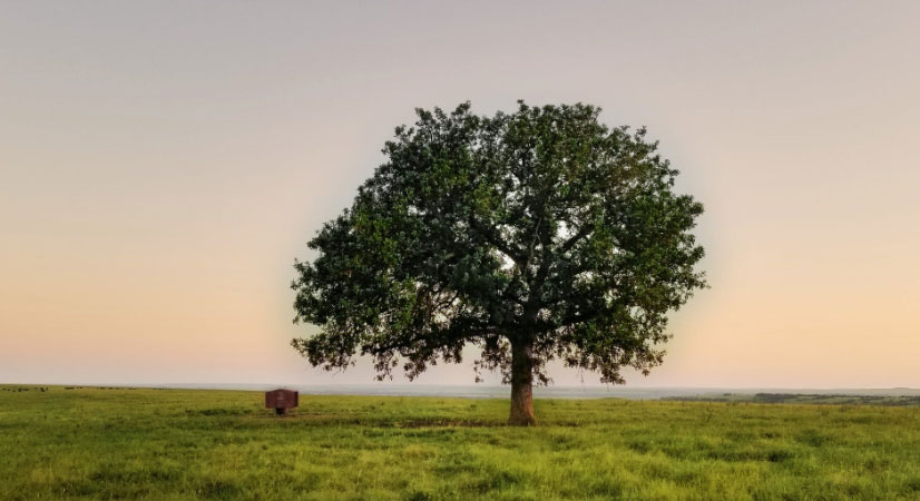 肩負(fù)重?fù)?dān) 推動(dòng)我國經(jīng)濟(jì)、社會(huì)<br>環(huán)境全面協(xié)調(diào)可持續(xù)發(fā)展