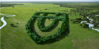 健康是“檢驗(yàn)”出來的！2022年度世友地板市場(chǎng)抽檢報(bào)告公布